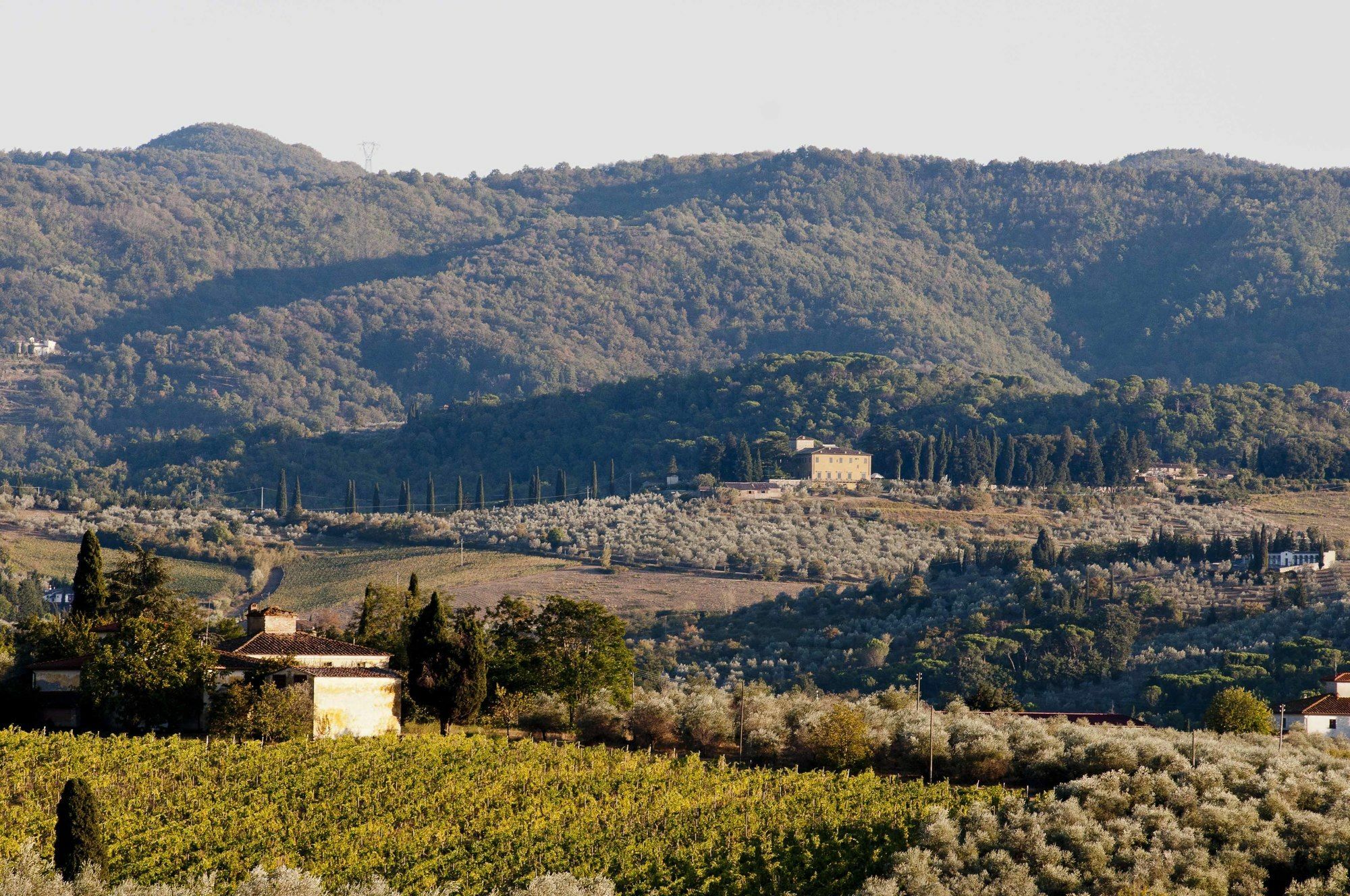 Villa Medicea Di Lilliano Grassina Екстериор снимка